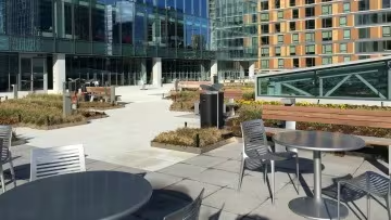 Company Office